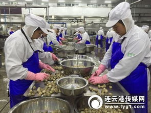 對(duì)接“一帶一路”戰(zhàn)略，打造新時(shí)代進(jìn)出口食品安全大通道